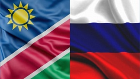 On the meeting of the Russian Ambassador with Hon. Netumbo Nandi-Ndaitwah, Deputy Prime Minister, Minister of International Relations and Cooperation of Namibia, April 16, 2021